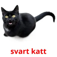 svart katt ansichtkaarten