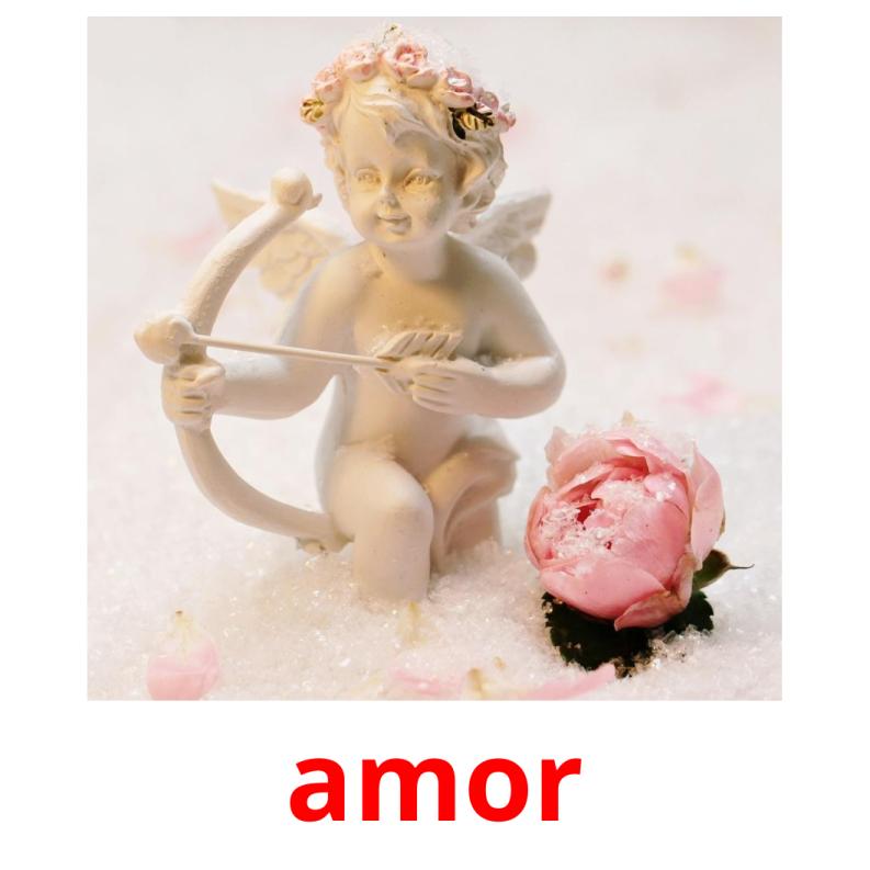 amor picture flashcards