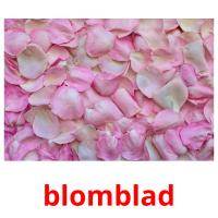 blomblad picture flashcards