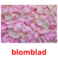 blomblad picture flashcards