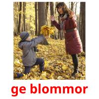 ge blommor picture flashcards