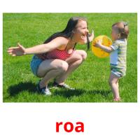 roa card for translate