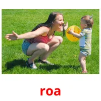 roa picture flashcards