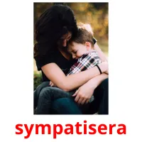 sympatisera picture flashcards