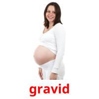 gravid Tarjetas didacticas