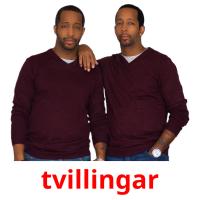 tvillingar picture flashcards