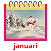 januari Tarjetas didacticas