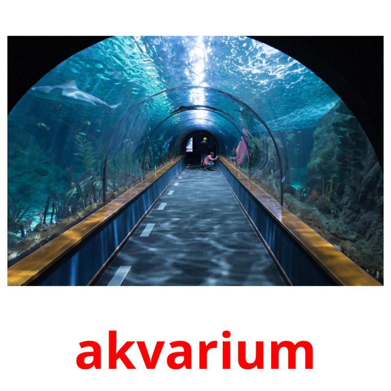 akvarium Tarjetas didacticas