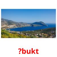 ?bukt picture flashcards