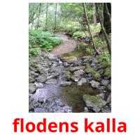 flodens kalla picture flashcards