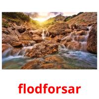 flodforsar picture flashcards