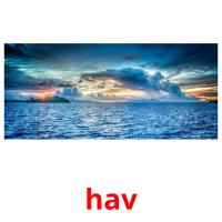 hav picture flashcards