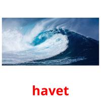 havet picture flashcards