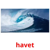 havet flashcards illustrate