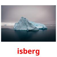 isberg picture flashcards