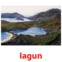 lagun flashcards illustrate