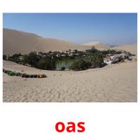 oas picture flashcards