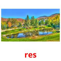 res picture flashcards