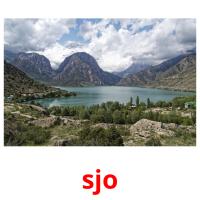 sjo picture flashcards