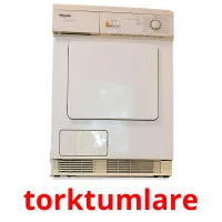 torktumlare cartões com imagens