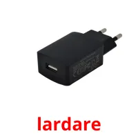 lardare picture flashcards