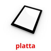 platta picture flashcards