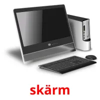 skärm picture flashcards