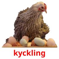 kyckling cartões com imagens