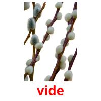 vide picture flashcards