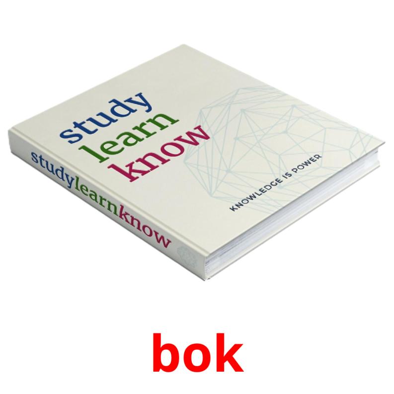 bok picture flashcards