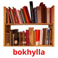 bokhylla picture flashcards