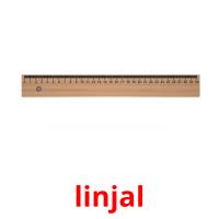 linjal picture flashcards