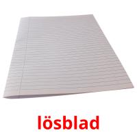lösblad flashcards illustrate