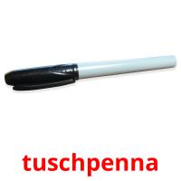 tuschpenna picture flashcards