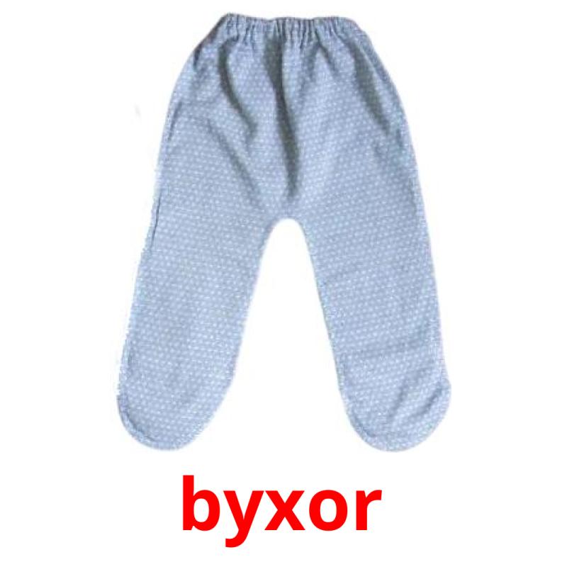 byxor picture flashcards