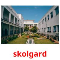skolgard flashcards illustrate