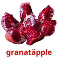 granatäpple Bildkarteikarten