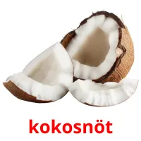 kokosnöt Bildkarteikarten