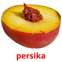 persika Bildkarteikarten