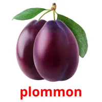 plommon Bildkarteikarten