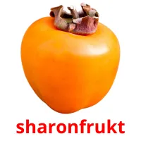 sharonfrukt Bildkarteikarten