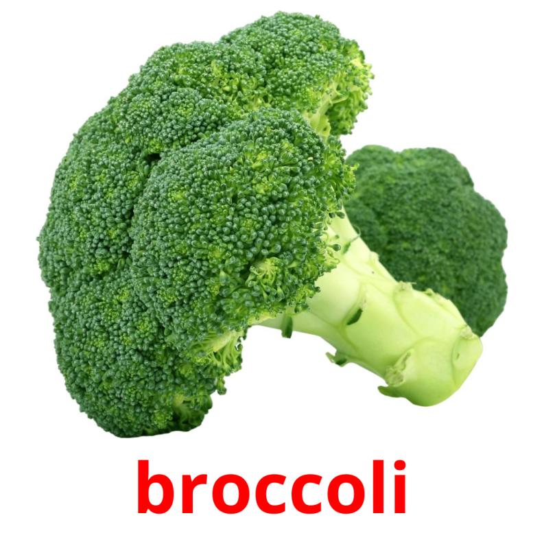 broccoli flashcards illustrate