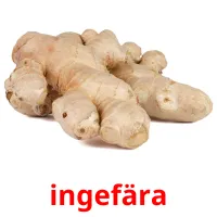 ingefära picture flashcards