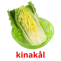 kinakål picture flashcards