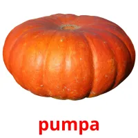 pumpa picture flashcards