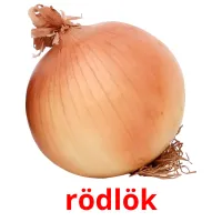 rödlök picture flashcards