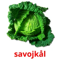 savojkål picture flashcards