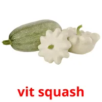 vit squash picture flashcards