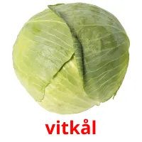 vitkål picture flashcards