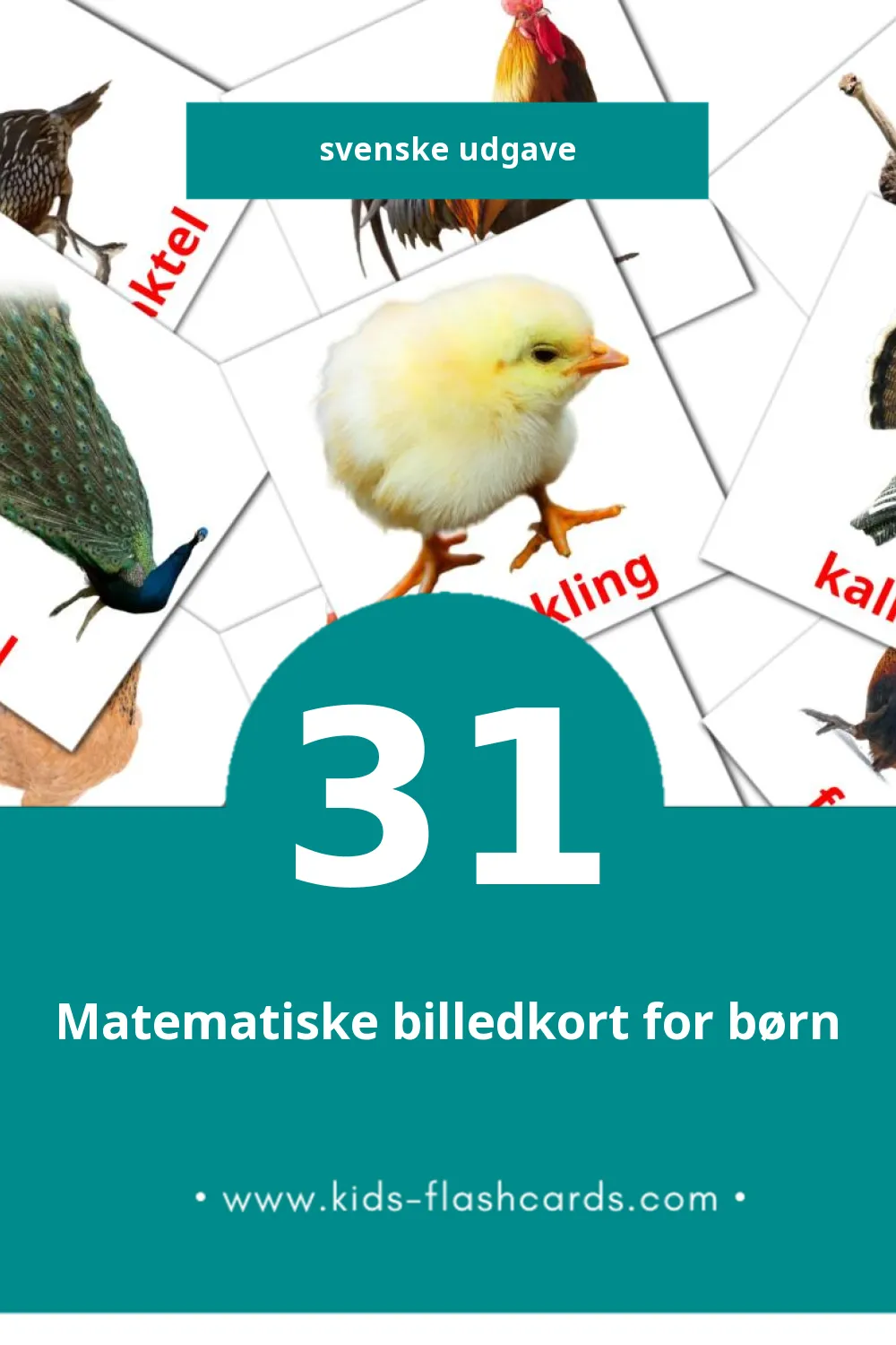 Visuelle billedkort for børn om Fåglar til småbørn (31 kort på Svenske)